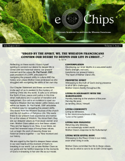 July-August 2013 eChips