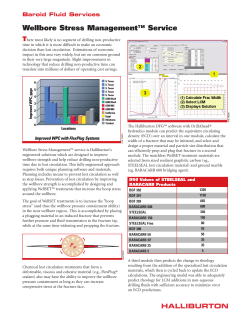 Wellbore Stress Management™ Service