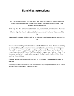 Bland diet Instructions: