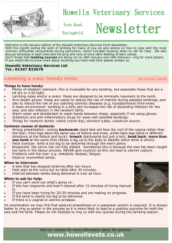 Newsletter - Howells Veterinary Services Ltd