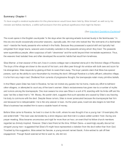 summary of the novel- Silas Mar