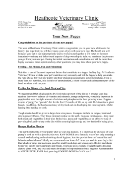 Free Puppy Guide - Heathcote Veterinary Hospital