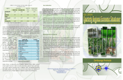 First Quarter - NEDA Region IX