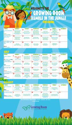 rumble in the jungle