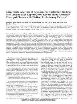 Large-Scale Analyses of Angiosperm Nucleotide