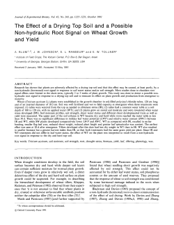 The Effect of a Drying Top Soil and a Possible Non