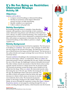 Activity Overview Continued