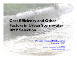 Cost Efficiency and Other Factors in Urban Stormwater BMP Selection