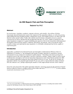 Fish and Pain Perception - Humane Society International