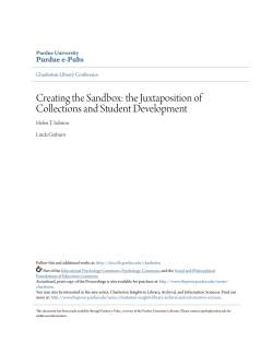 Creating the Sandbox: the Juxtaposition of Collections and Student
