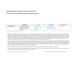 Risk Management Committee Charter Assessment Tool