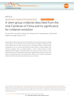 A stem-group cnidarian described from the mid