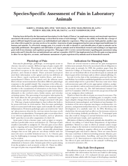 Species-Specific Assessment of Pain in