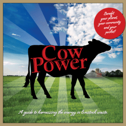A guide to harnessing the energy in livestock waste.