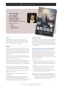 The Bridge - Jane Higgins