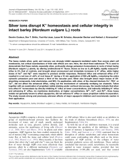 (Hordeum vulgare L.) roots