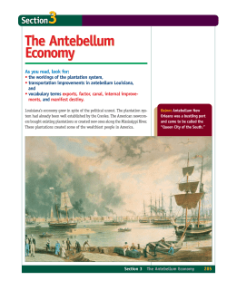 The Antebellum Economy The Antebellum Economy