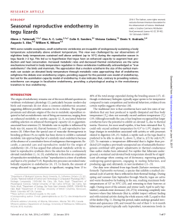 Seasonal reproductive endothermy in tegu lizards
