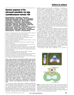 Genome sequence of the ultrasmall unicellular red alga