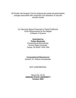 2D Protein Gel Analysis Tool for studying the protein