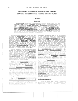 Diptera: Cecidomyiidae