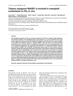 Tobacco aquaporin NtAQP1 is involved in mesophyll conductance