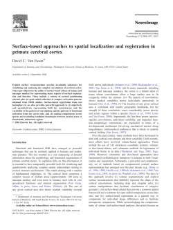 Surface-based approaches to spatial localization