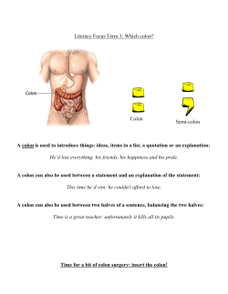 Literacy Focus Term 3: Which colon? A colon is used to introduce