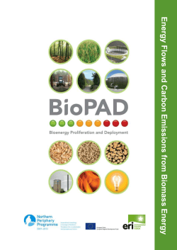 Energy Flows and Carb on E missions from Biomass E nergy