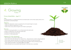 4: Growing Pulses