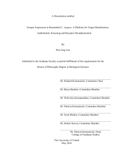 Ectopic Expression in Remodeled C. elegans: A Platform for Target