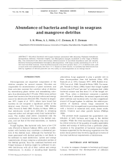 Abundance of bacteria and fungi in seagrass