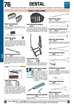 Equine Dental