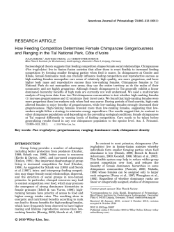 How feeding competition determines female chimpanzee