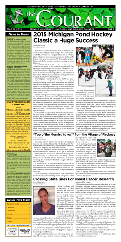 2015 Michigan Pond Hockey Classic a Huge Success