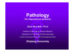 PowerPoint 演示文稿