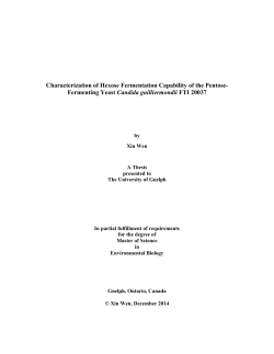 Characterization of Hexose Fermentation Capability of the Pentose