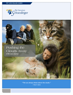 Pushing the Clouds Away A Pet Loss Journal