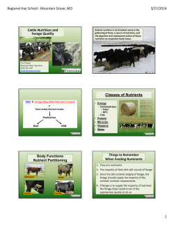 Classes of Nutrients