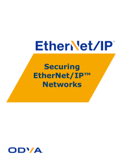 Securing EtherNet/IP™ Networks