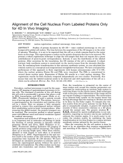 Alignment of the cell nucleus from labeled proteins only for 4D in