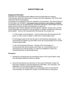 KARYOTYPING LAB