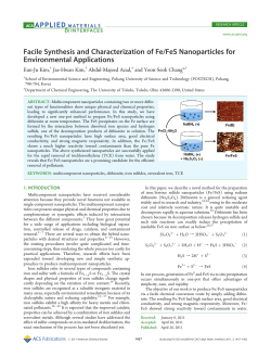 Facile Synthesis and Characterization of Fe/FeS Nanoparticles for