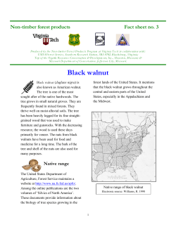 Black walnut - NTFPINFO.US Website Homepage