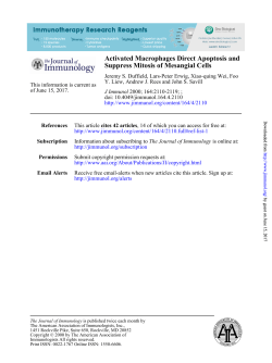 Suppress Mitosis of Mesangial Cells Activated Macrophages Direct