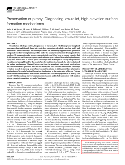 Preservation or piracy: Diagnosing low-relief, high