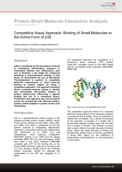 Competitive Assay Approach: Binding of Small Molecules to the
