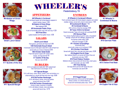 APPETIZERS SALADS BURGERS ENTREES