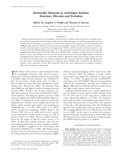 Mutator-like Elements in Arabidopsis thaliana: Structure