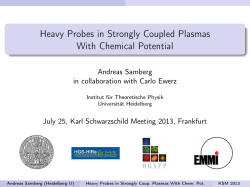 Heavy Probes in Strongly Coupled Plasmas With Chemical Potential